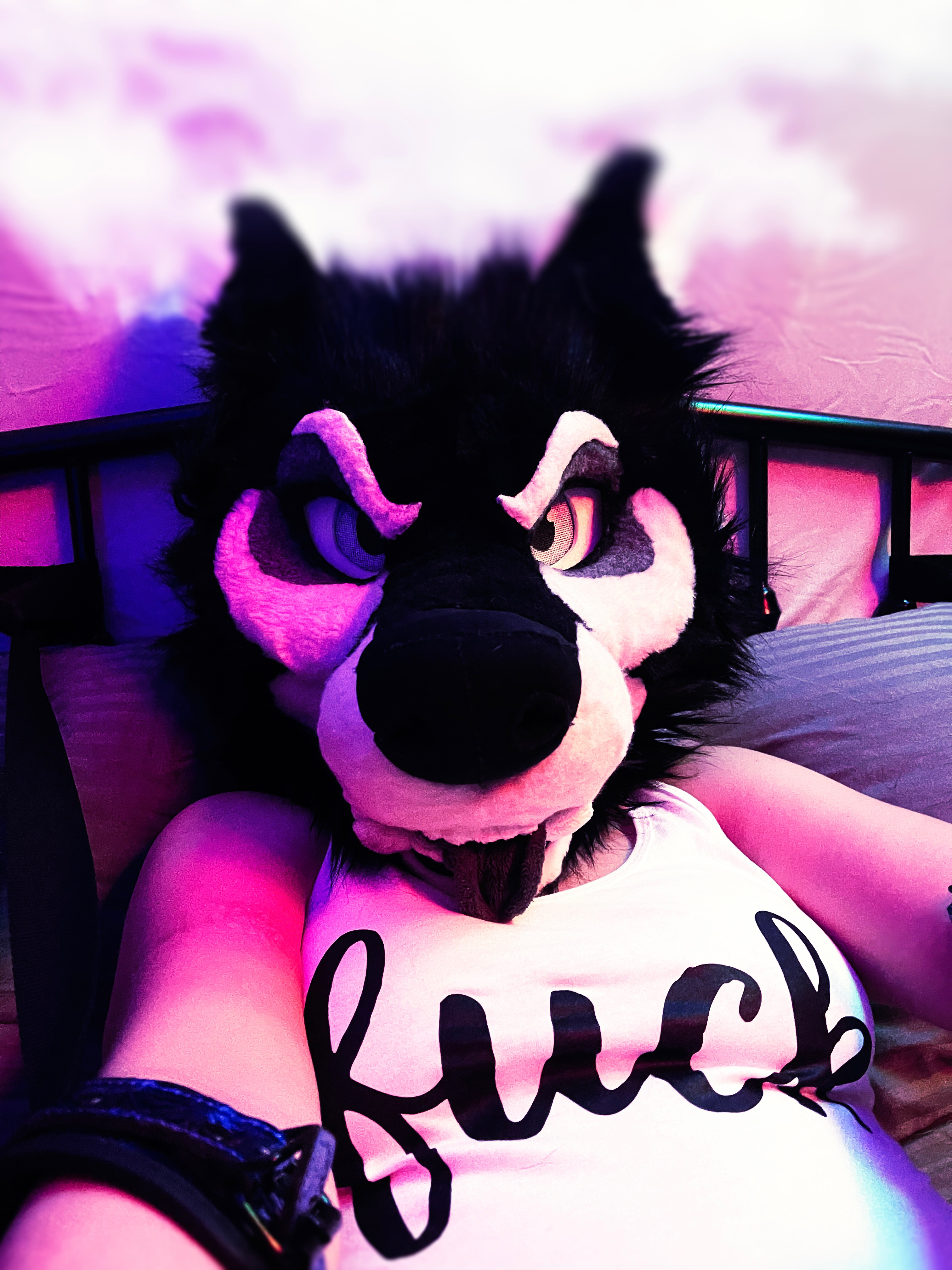 emmawerewuff OnlyFans profile photo