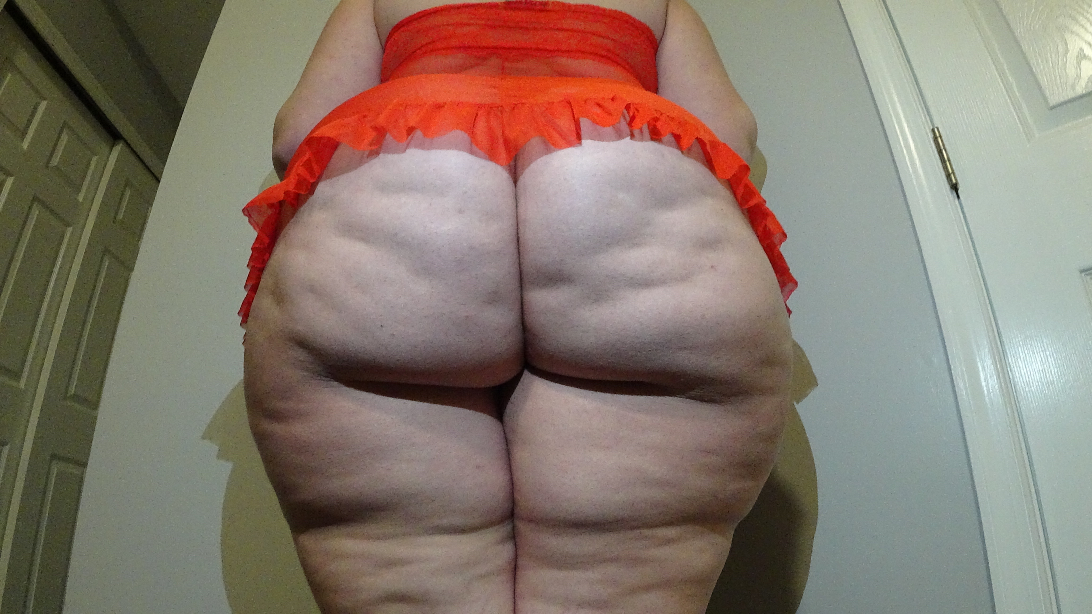 bigbootypawgqueen OnlyFans profile photo