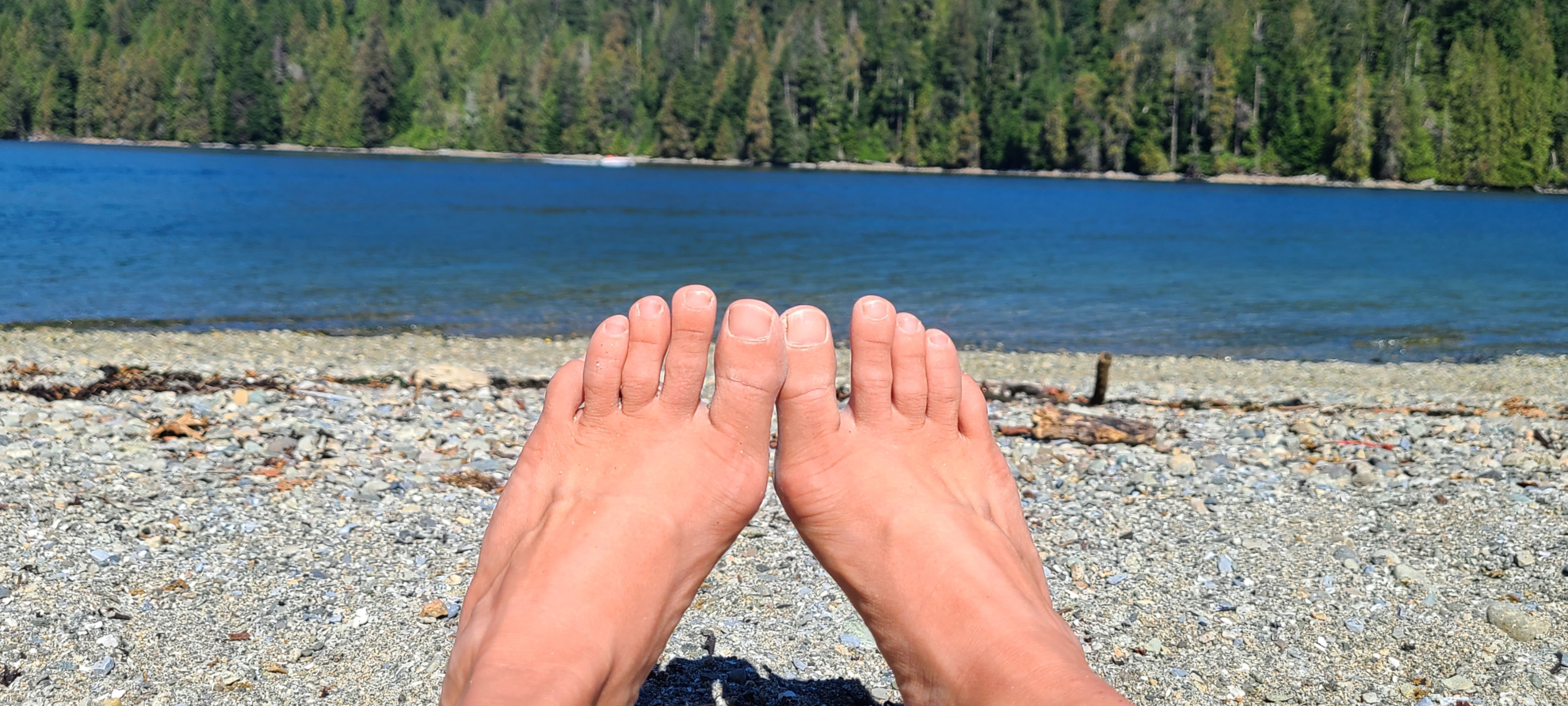 ballettwinkletoes OnlyFans profile photo