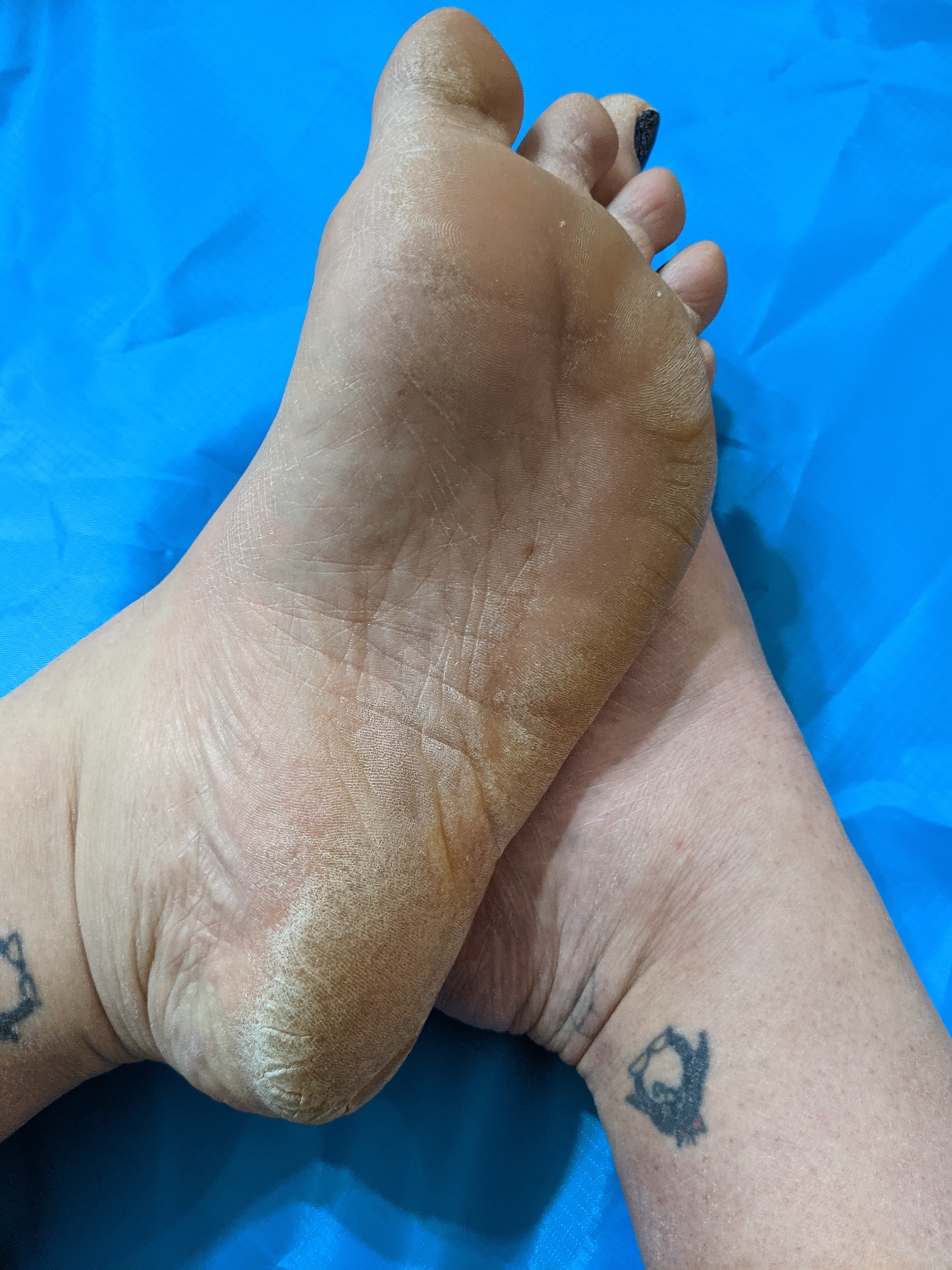 flirtyf33t94 OnlyFans profile photo