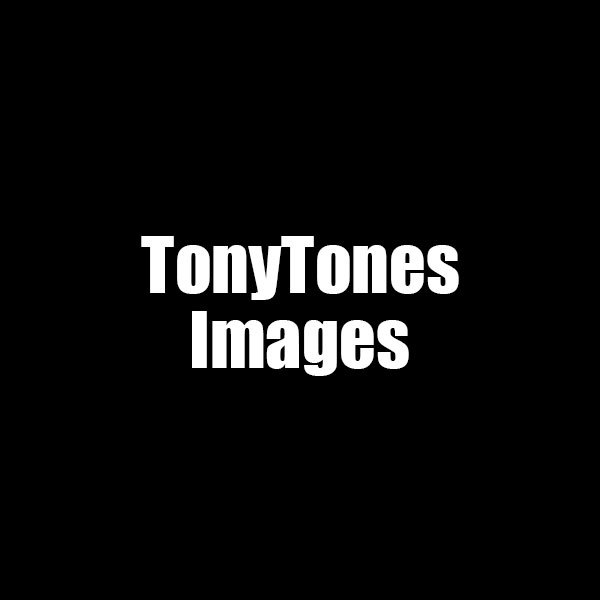 tonytones OnlyFans profile photo