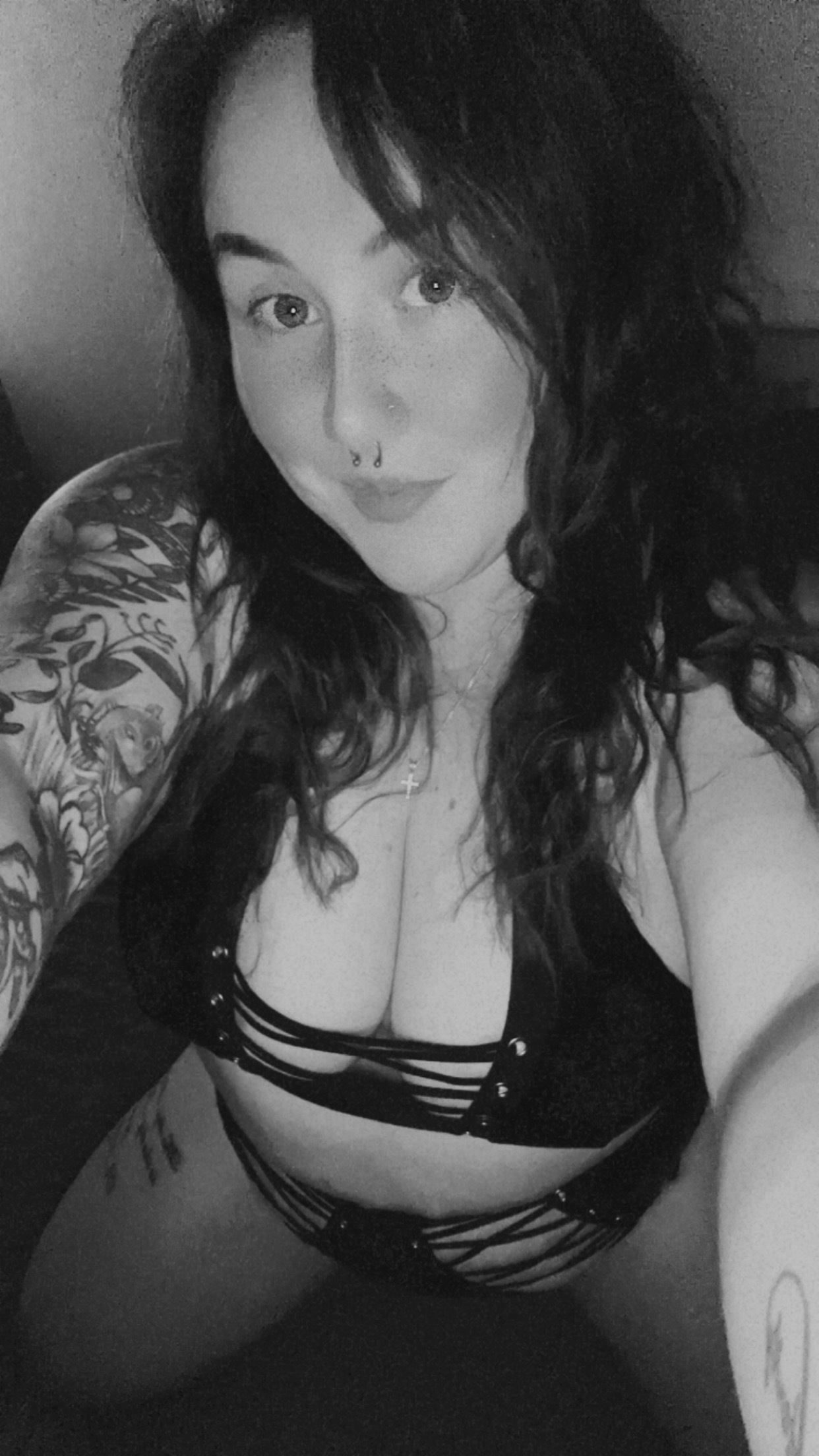 ragdollmama OnlyFans profile photo