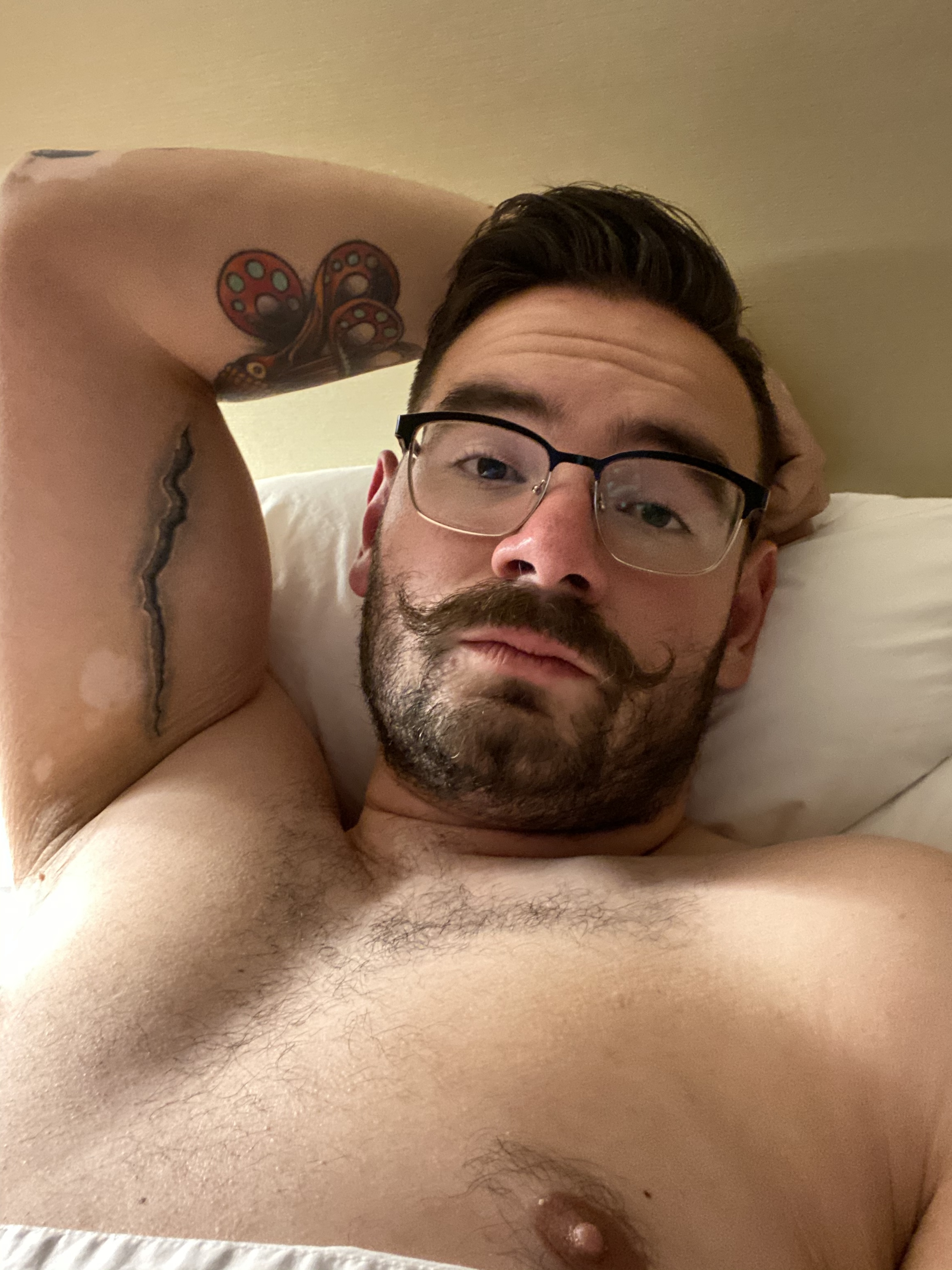 horneebee OnlyFans profile photo
