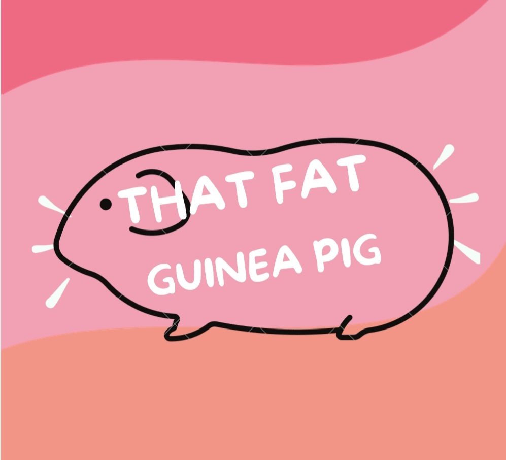 thatfatterguineapig OnlyFans profile photo