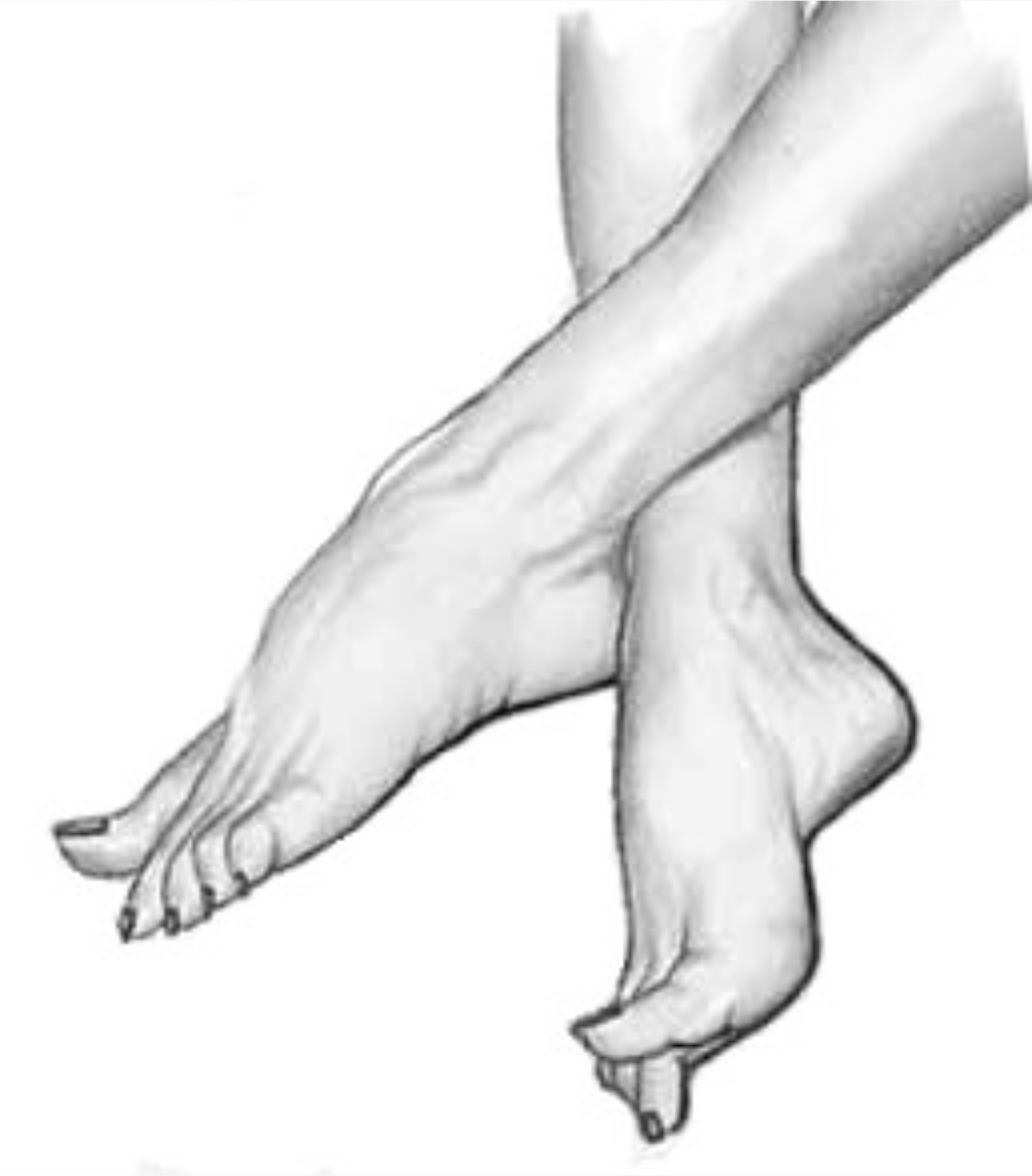 serendipity_feet OnlyFans profile photo
