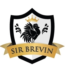 sirbrevin OnlyFans profile photo