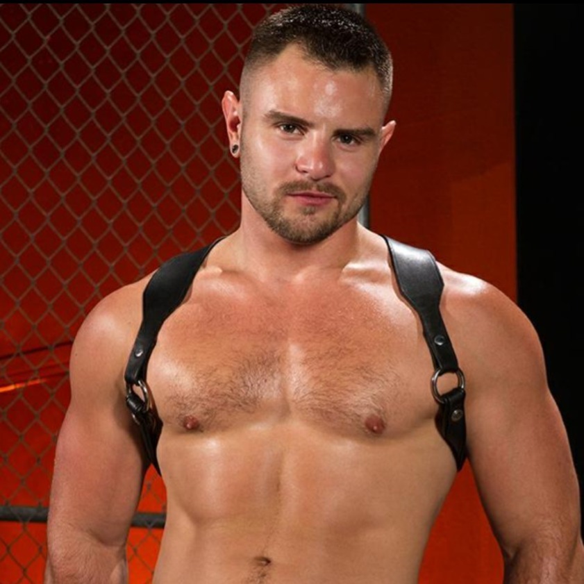 nicksterlingnyc OnlyFans profile photo