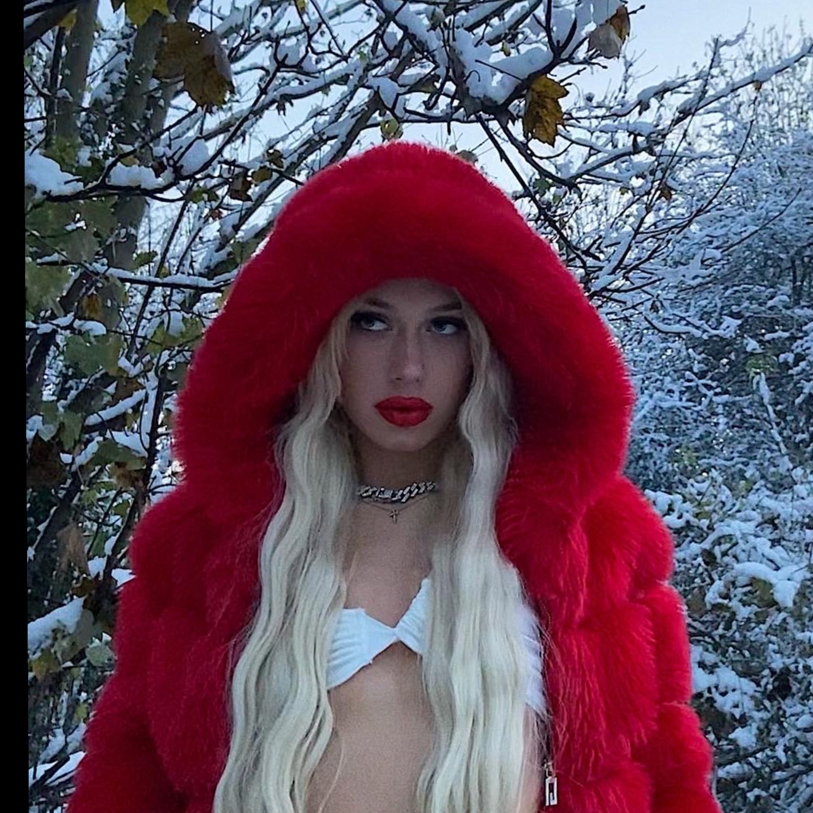 svetlanabarbie OnlyFans profile photo