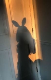 kellydelightxx OnlyFans profile photo