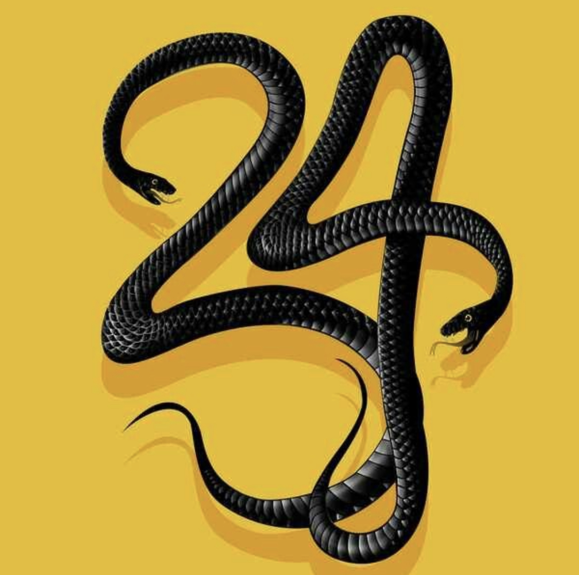 cult24 OnlyFans profile photo