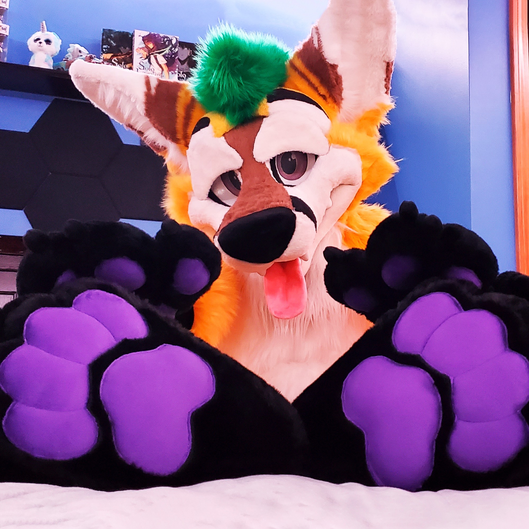 thepineapplefox OnlyFans profile photo