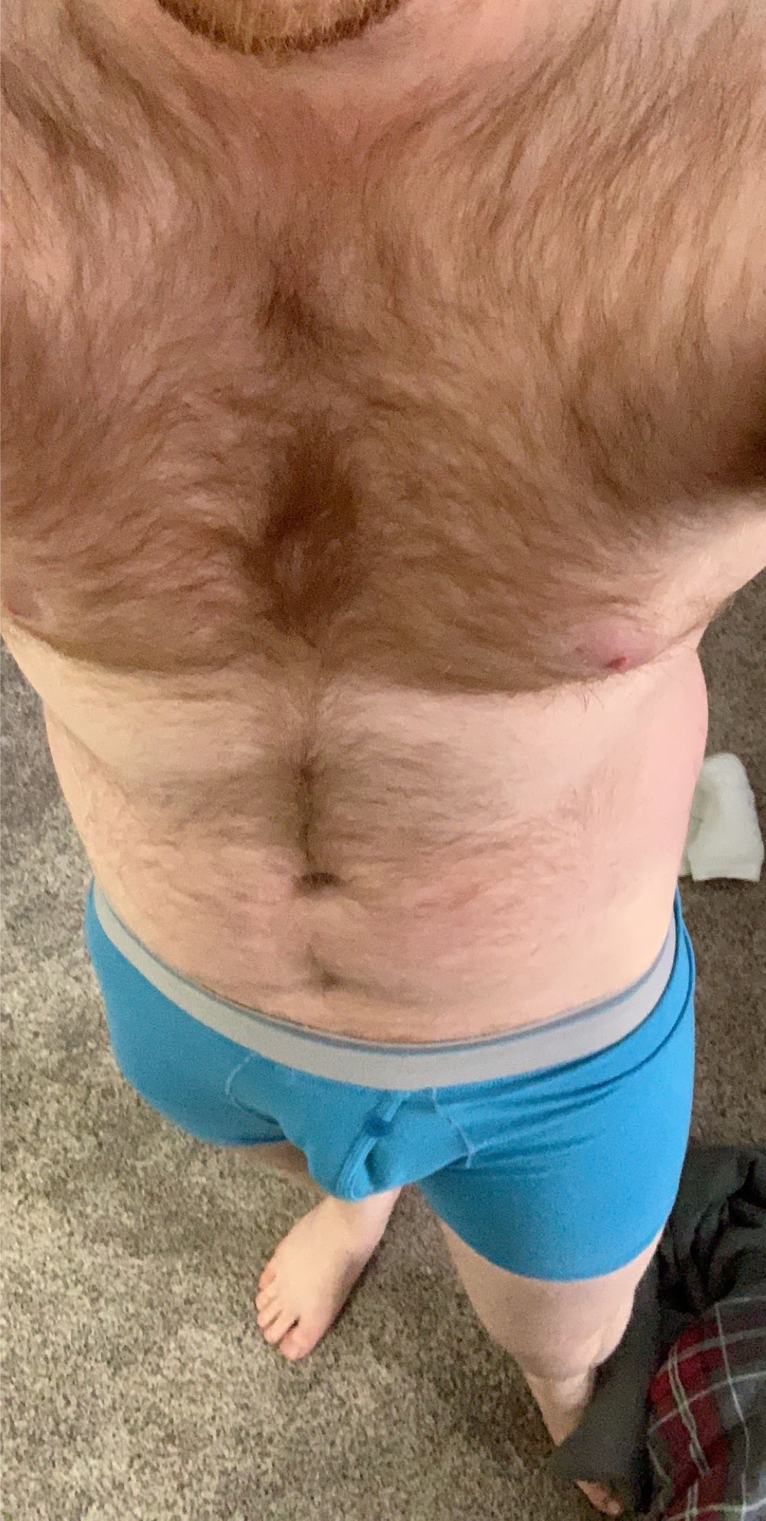 bearginger OnlyFans profile photo