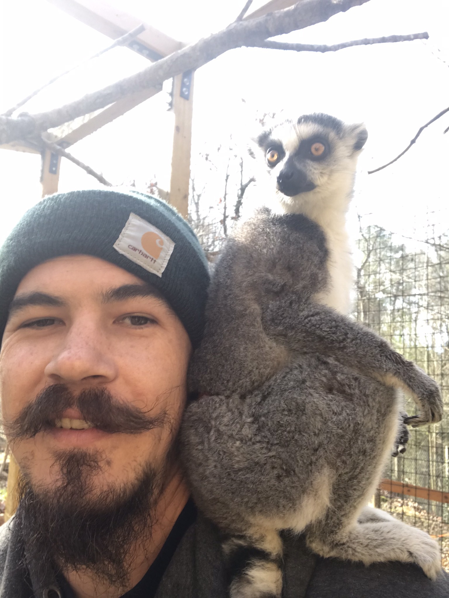 sirgash OnlyFans profile photo